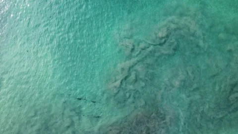 Drone view of sandy reef carlsbad, delmar, la jolla, oceanside, blacks beach Stock Footage 221532498