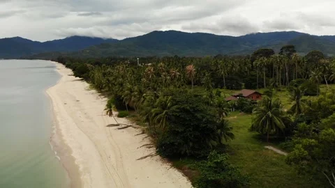 Drone view to sandy white shore and green tropical nature in Thailand. Paradise Stock Footage 99450676