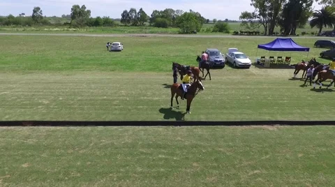 Drone view scene of a Polo Match Vídeo Stock 56834987