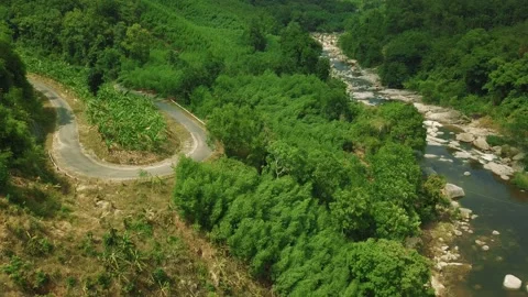 Drone view of a scenic forest river in the mountains with a curve rural road. Stock Footage 131843671