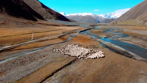 Drone view of a scenic mountain valley with grazing sheep and rivers Stock Footage 224919057