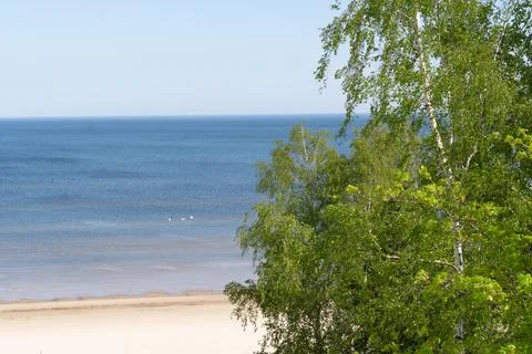 Drone view of sea with trees in front. How to get best view with drone. Stock Photos