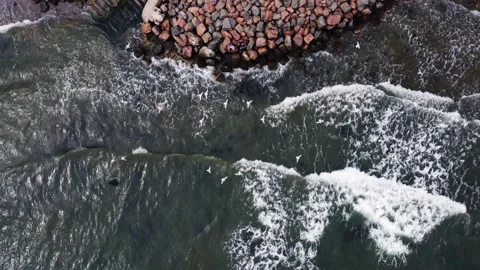 Drone view. seagulls flying over the rocky coast. storm. Stock Footage 160421783