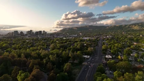 Drone view of seagulls flying over forested valley Stock Footage 325329845