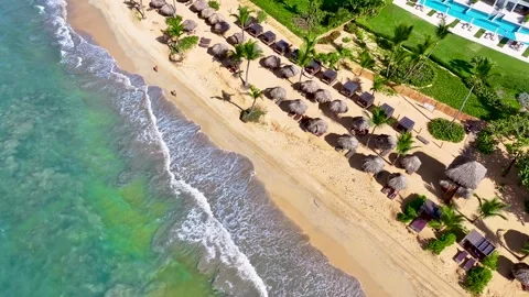 Drone view of seamless loop of ocean waves at Hawaiian Palm Beach. Stock Footage 330635954