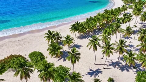 Drone view of seamless loop of ocean waves at Hawaiian Palm Beach. Stock Footage 332011510
