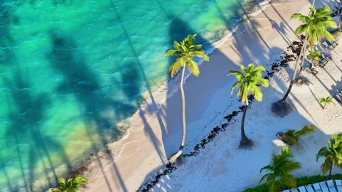 Drone view of seamless loop of sea waves on white Hawaiian palm beach. Stock Footage 333128537