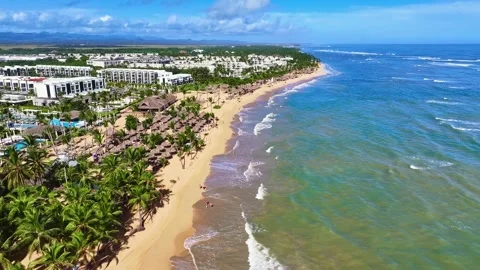 Drone view of a seamless loop of waves on a Caribbean palm beach. Stock Footage 329205945