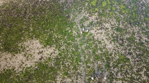 Drone view of seaweed-covered tidal flat at low tide Stock Footage 334332988