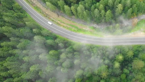 Drone view of section of evergreen, rainforest in Carpathian Mountains Видео 106151434