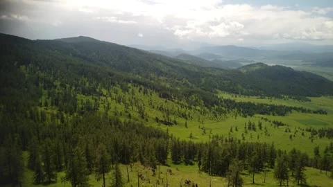 Drone view of Seminsky Pass Altai Video stock 268811702