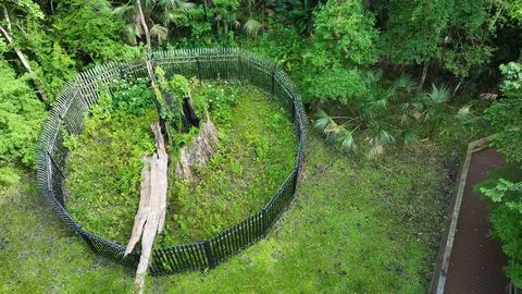 Drone view, The Senator, Big Tree Park in Longwood, FL Stock Photos