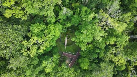 Drone view, The Senator, Big Tree Park in Longwood, FL Stock Photos