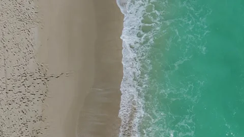 Drone view of serene beach with clear turquoise ocean meeting smooth sandy shore Stock Footage 262265758
