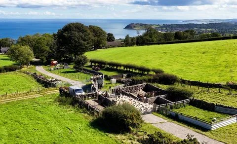 Drone view of sheep dipping using a mobile dipper on trailer Stock Photos