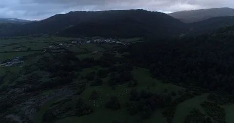 Drone view of a sheep herd at dusk in Navarra, Spain Stock Footage 111837132