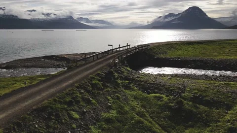 Drone view of sheep walking on a small bridge with a view on a beautiful subarct Stock Footage 140722947