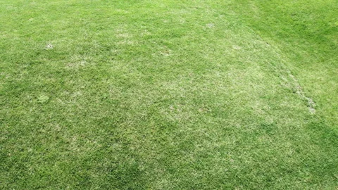 Drone view shot of well-kept green lawn in sunlight, green field to play golf or Stock Footage 266172459