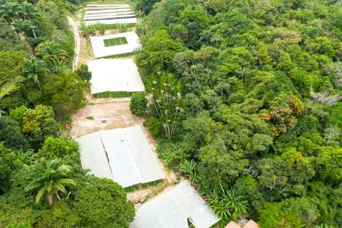 Drone view of a simple flower greenhouse made by white tissue, Brazil. Stock Photos