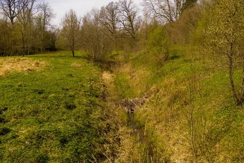 Drone view of small beaver dams on a river during summer days Stock Photos