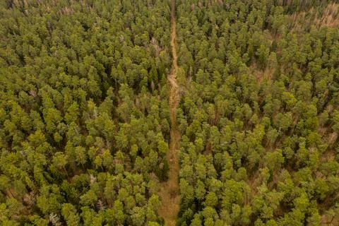 Drone view of small dirt road Fotos de archivo
