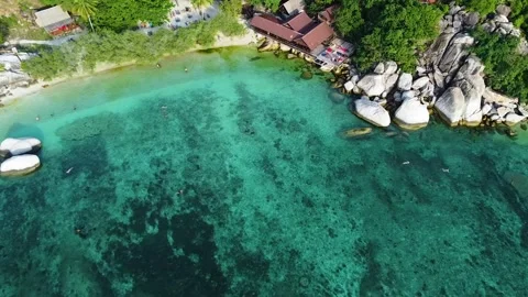 Drone View of Snorkeling Activity in Clear Water at Freedom Beach Koh Tao Vídeo Stock 331867157