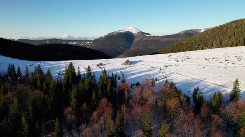 Drone view of snowy mountain valley with forest, wooden cabins Stock Footage 346547025