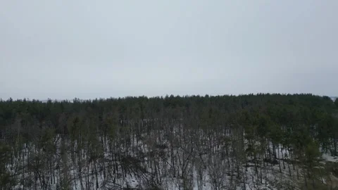 Drone view of a snowy pine forest and bare trees on a cliff edge Stockbeeldmateriaal 348170912