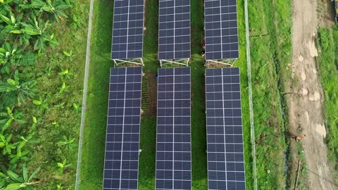 Drone view of solar community and crops using renewable energy Stock Footage 311737452