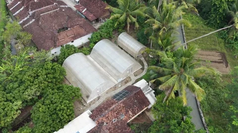 Drone view of solar dryer in lush tropical Java countryside. Stock Footage 339326697
