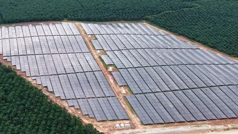 Drone view of solar panel array next to oil palm plantation Видео 332203470