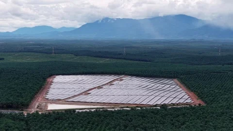 Drone view of solar panel array near oil palm farm Stock Footage 332216365