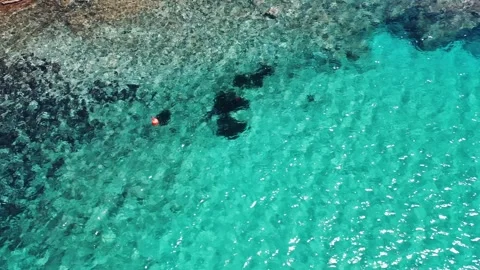 Drone view of spearfisherman Video stock 274413286