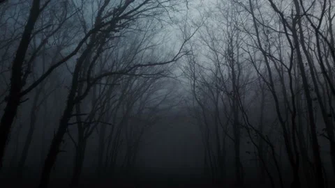 Drone view spooky dark forest winter fog and evening moonlight Stock-Footage 170075899