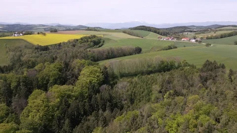 Drone View of Spring Forest and Rolling Hills Stock Footage 307512187