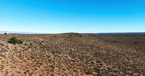 Drone View of Springbok in the Vast Great Karoo Landscape Near Prince Albert Stock-Footage 341517541