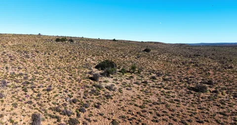 Drone View of Springbok in the Vast Semi-Arid Karoo Landscape, South Africa Stock-Footage 341515504