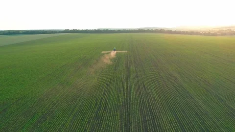 Drone view a sprinkler tractor processes a soybean field with chemicals at 스톡 동영상 248050050