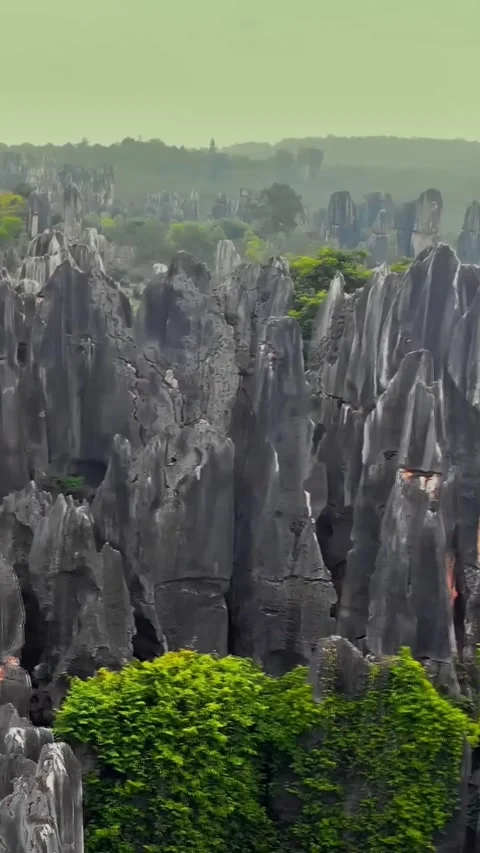 Drone view of Stone Forest in Kunming showing unique rock formations Vídeos de archivo 335075466