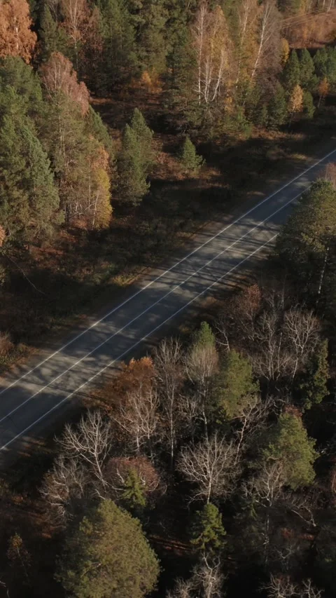 Drone view of straight empty highway in colorful autumn forest, Ural Mountains Stock Footage 346558897