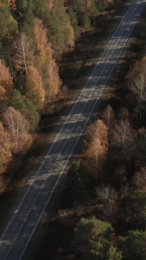 Drone view of straight empty highway amid autumn forest in Russia’s Ural region Stock Footage 346558902