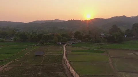 Drone view of Su Tong Pae bamboo walkway stretching over rice fields, Thailand Stock Footage 309153107