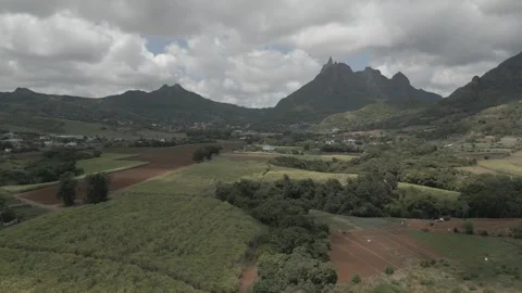 Drone view of sugar cane field and Pieter Both, Long Mountain, Vallee du 스톡 동영상 273597411