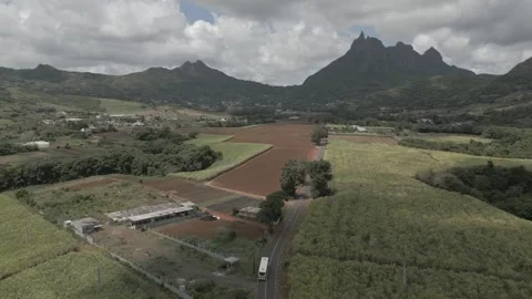 Drone view of sugar cane field and Pieter Both, Long Mountain, Vallee du 스톡 동영상 273597453