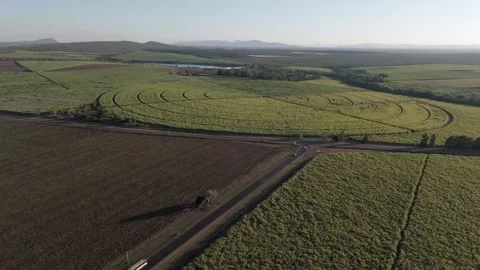 Drone view of Sugarcane and pepper farms in a patchwork quilt, divided by Stock-Footage 277784376