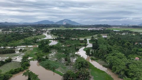 Drone View Sungai Perai River Floodplain and Wetlands Видео 332222301