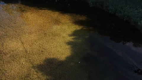 Drone View Of Sunlit River With Golden Reflections And Woodland Shadows Stock Footage 341796602