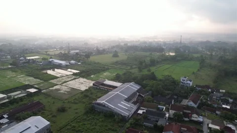 Drone view surrounding rice fields and residential areas Stock Footage 261931421