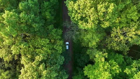 Drone view of an SUV driving through dense green... Stock Footage 341894273