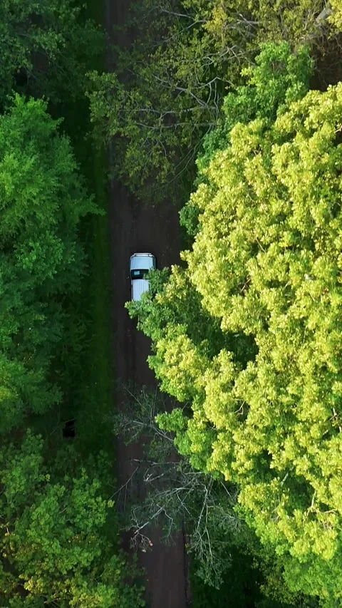 Drone view of an SUV driving through dense green woodland on a winding... Vídeo Stock 344332653